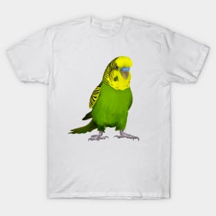 Australian Budgie/Green/Yellow/Parakeet/Budgerigar/Bird T-Shirt